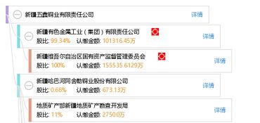 新疆五鑫銅業(yè)有限責(zé)任公司