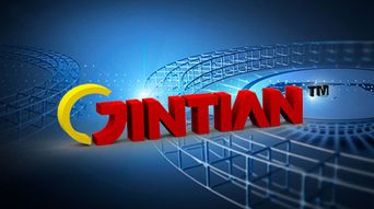 堅(jiān)持品質(zhì)與創(chuàng)新 金田銅業(yè)樹立國際一流品牌